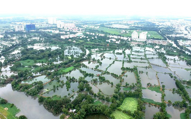Chủ trương chuyển đổi 26.000ha đất nông nghiệp tạo điều kiện cho cò vùng ven ăn theo